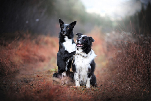 1755977 (a): :2048x1367